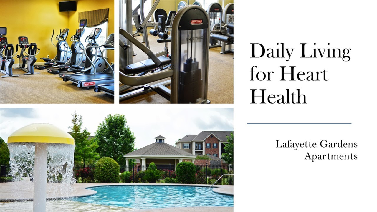Image of the 2 fitness centers and swimming pool at Lafafayette Gardens Apartments - apartments in lafyette louisiana
