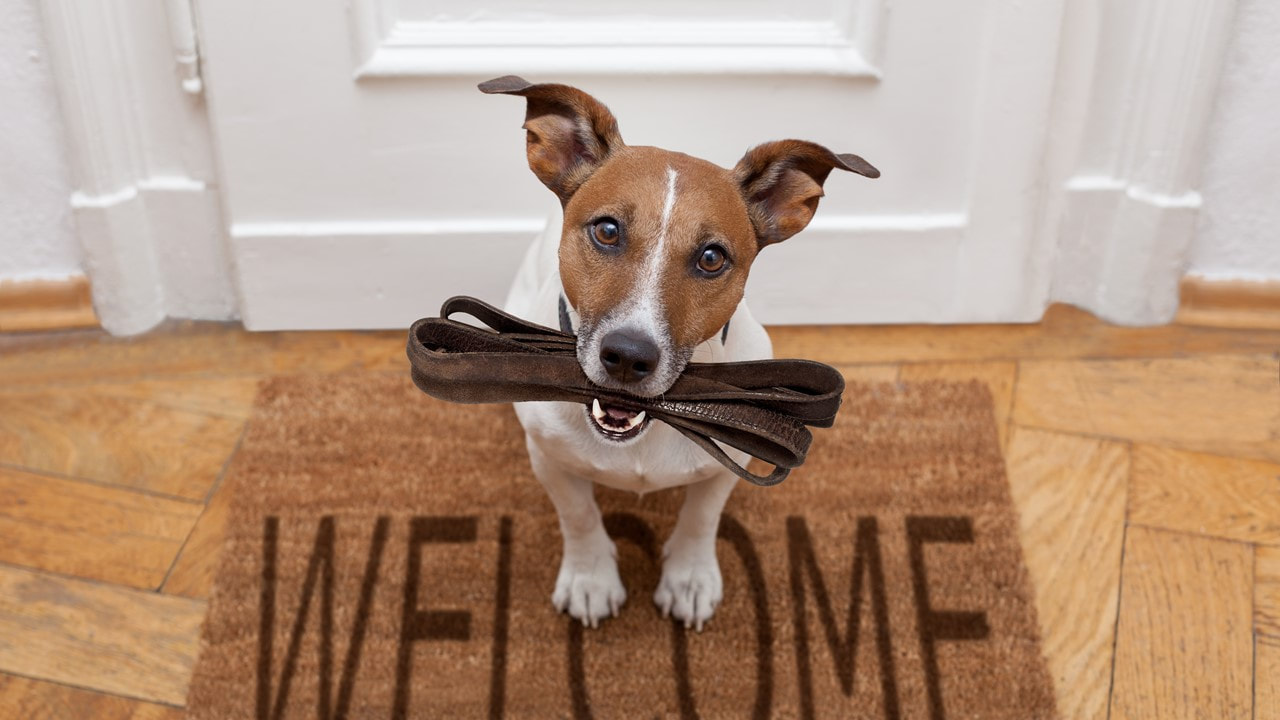 Doormats: How do you say, Welcome to my World? - Lafayette Gardens  Apartments